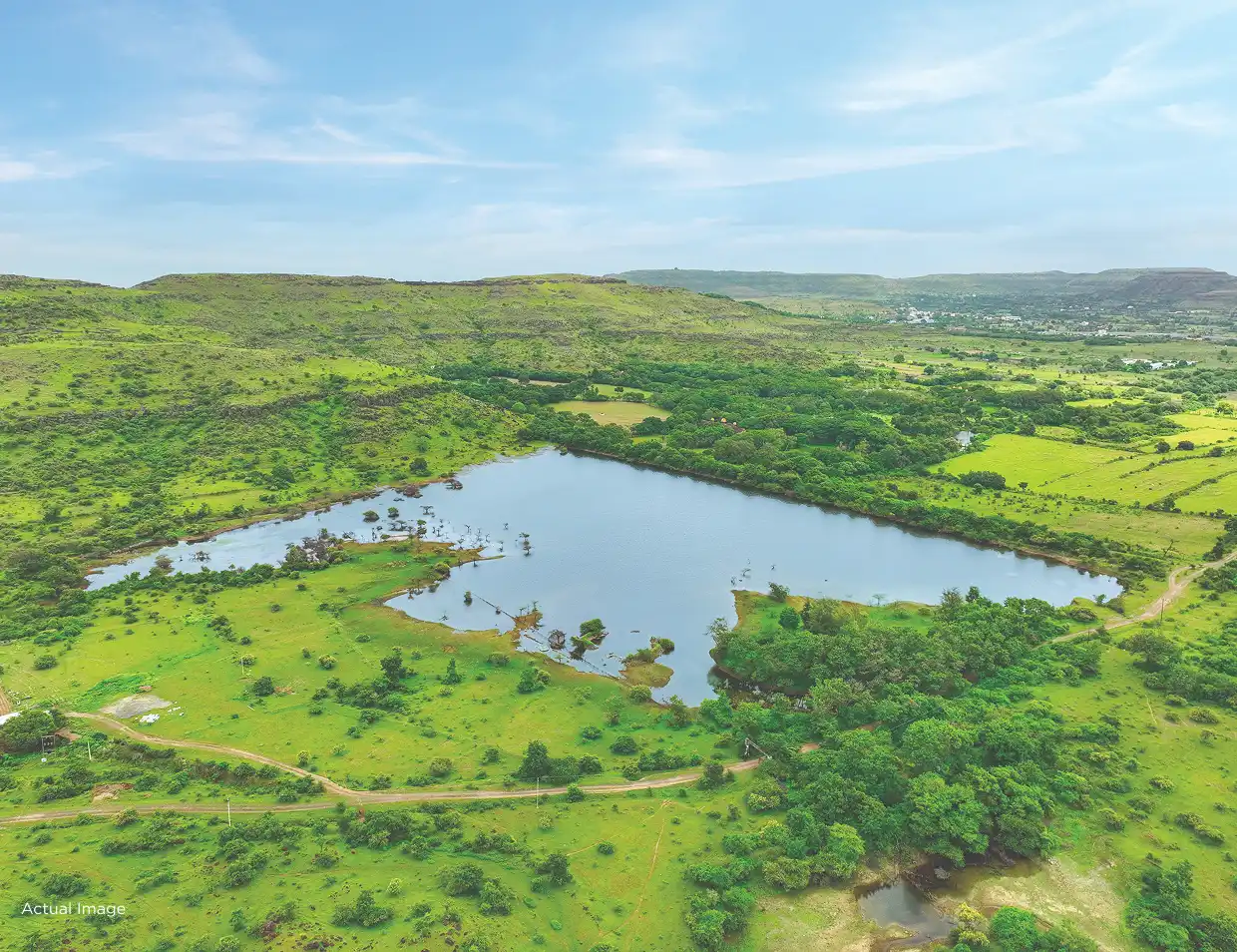 Treetopia 25 Acre Lake Promenade and Amenities
